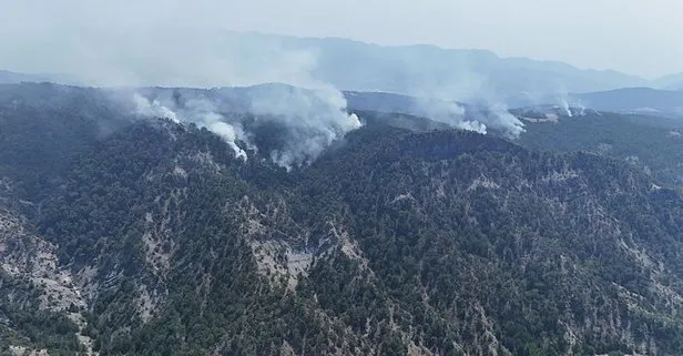 Bakan Yerlikaya’da açıkladı! İzmir’de orman yangınına sebebiyet veren 7 şüpheliden 3’ü tutuklandı | Bolu’da 2 kişi tutuklandı