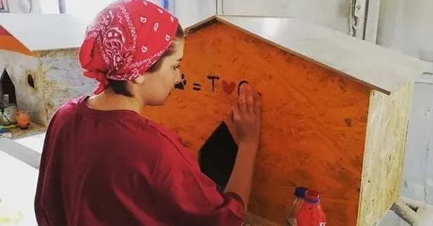 Hadi ipucu sorusu yayınlandı