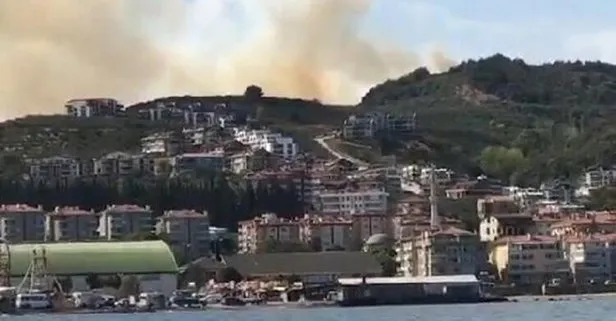 Son dakika:  Bursa’da orman yangını