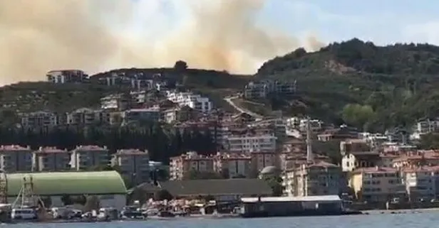 Bursa'da orman yangını!