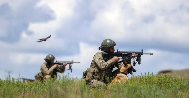 Hainlere geçit yok! MSB açıkladı: 18 şüpheli yakalandı 2'i terörist çıktı