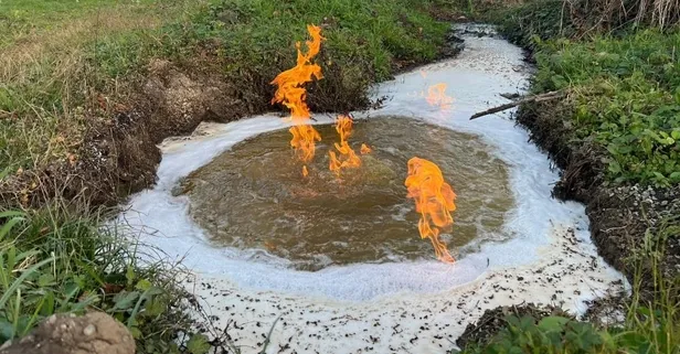 Depremin ardından oldu: Düzce'de yanan su şaşkına çevirdi