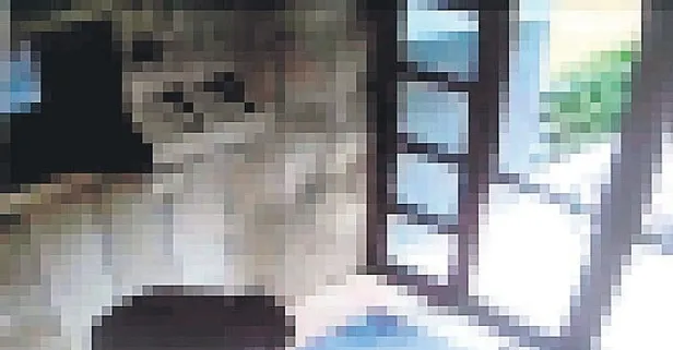 Başakşehir’de kediye işkence ederek öldüren cani yakalandı!