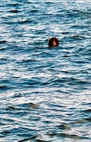 Son dakika: Karadeniz'de 3. mayın! SAS Timleri imha etti