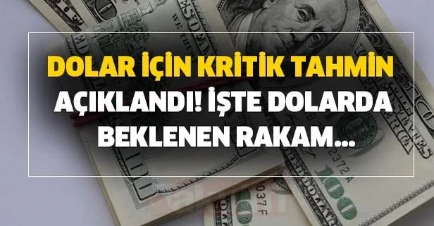 Dolar için kritik tahmin açıklandı! İşte dolarda beklenen rakam...