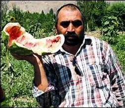 Ayıların bitmeyen kini