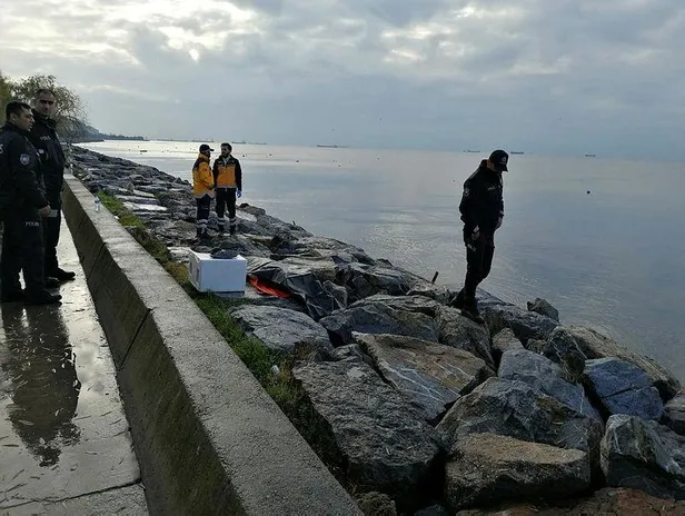 Son dakika: Kartal'da 75 yaşındaki kadının cesedi denizde bulundu-2