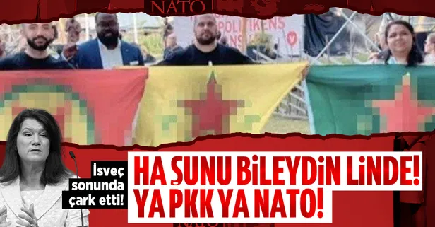NATO'ya girmeye çalışan ama PKK desteğinden de vazgeçmeyen İsveç'ten itiraf gibi açıklama