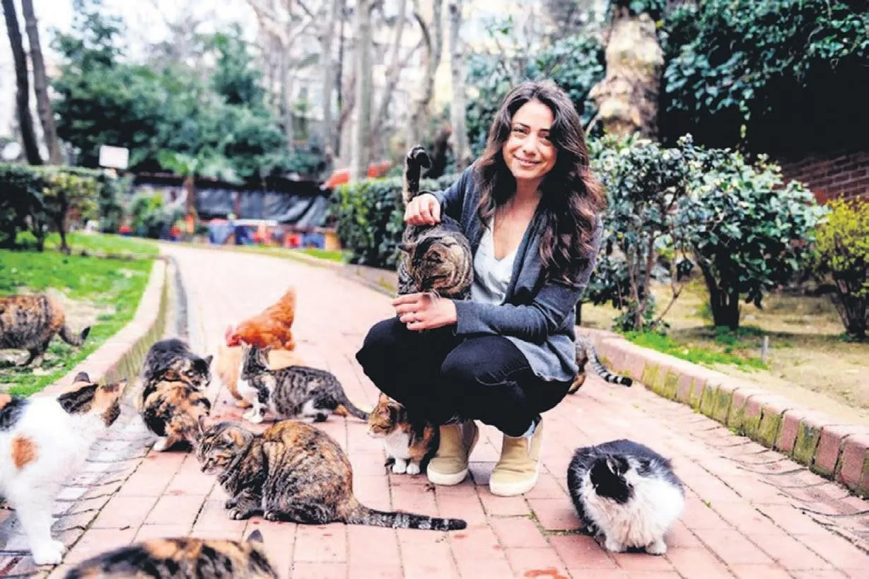 He'pisi' Almanya’da