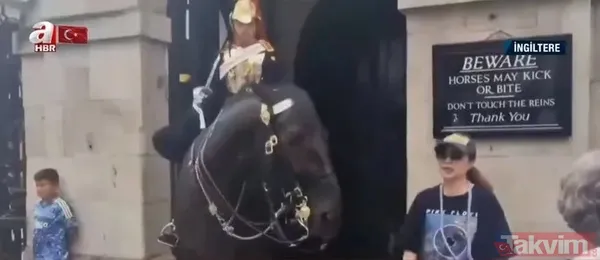 İngiltere’de Kraliyet atı krizi! Çinli turist ‘dikkat ısırır’ uyarısını görmeyince olanlar oldu: Çığlık çığlığa arkadaşlarına koştu - 6