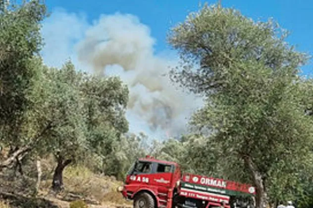 Bodrum'da ormanlık alanda korkutan yangın: Havadan ve karadan hemen müdahale!