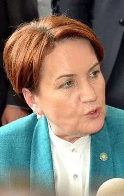 Meral Akşener'den provokatif tweet