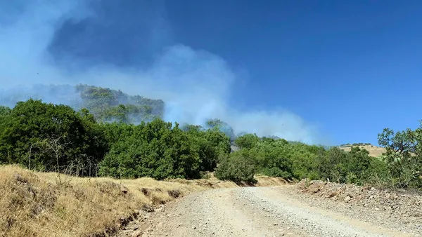 bingolde-cikan-orman-yangini-5inci-gunde-de-devam-ediyor-1630484779411.jpg Bingöl’de çıkan orman yangını 5'inci günde de devam ediyor!-4