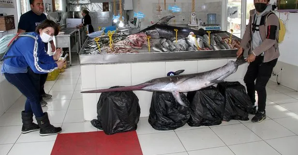 Fethiye açıklarında yakalanan 3,5 metrelik kılıç balığı görenleri hayrete düşürdü