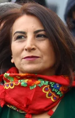 HDP'li vekile 'Kandil' talimatı