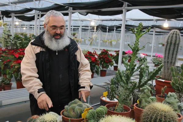 rizede-cay-bahcesini-sokunce-tepki-ceken-grubetci-vatandas-simdilerde-kaktus-taleplerine-yetisemiyor-1609139497897.jpg Koronavirüs salgınında kaktüs taleplerine yetişemiyor! Rizeli gurbetçi çay bahçesini söktü-11