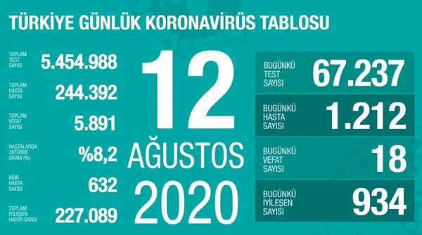 saglik-bakani-fahrettin-koca-12-agustos-koronavirus-tablosunu-acikladi-1597258426970.jpg