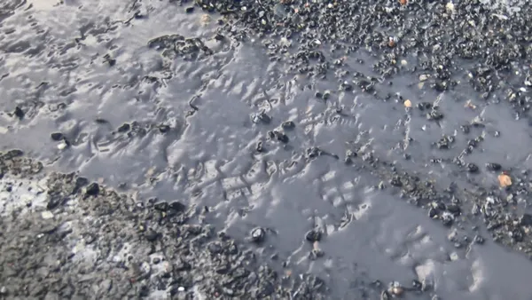 esenyurtta-mavi-su-bu-defa-sokaklara-akti-mahalleli-sokak-kopeklerinin-olmesine-isyan-etti-1622277217486.jpg Esenyurt'ta mavi su bu defa sokaklara aktı! Mahalleli sokak köpeklerinin ölmesine isyan etti-10