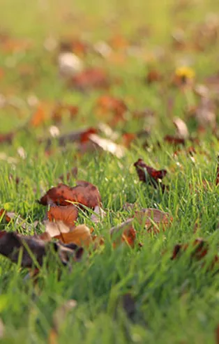 Rüyada kör olduğunu görmek ne anlama gelir?