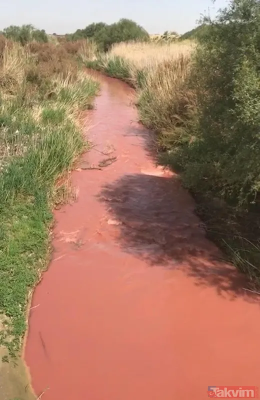 Manisa'da Nif Çayı'nın rengi kırmızıya döndü! İşte nedeni: iki noktadan kamyonla atık döküldü - 1
