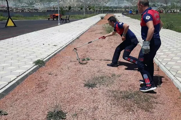Erzincan'da ekipleri alarma geçiren olay! Çocuk parkında bulundu