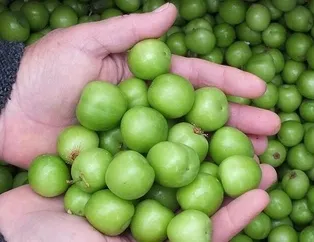 Sağlık için çok g’erik’li!