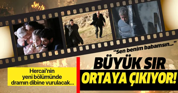 Hercai'nin 50. bölümünde tüm gerçekler ortaya çıkıyor! "Sen bana annemi geri verebilecek misin?"