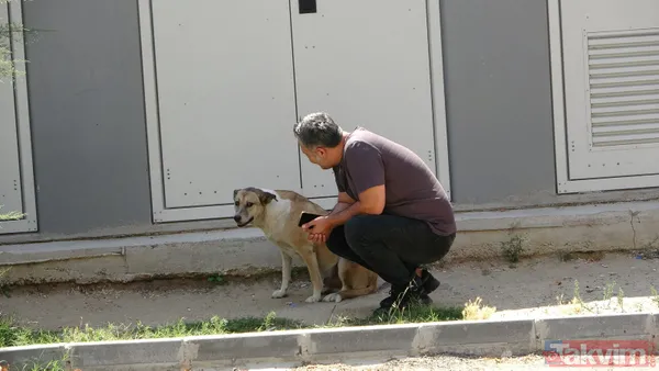 'Daire 16' sözleriyle gündem oldu! Köpük yerinde kalacak - 34