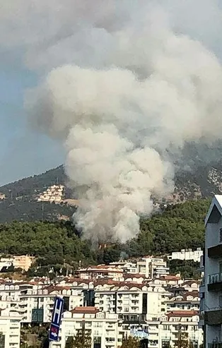 Son dakika: Alanya'da orman yangını