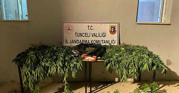 Tunceli'de uyuşturucu operasyonu!