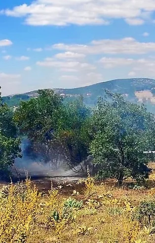 15 dekarlık ormanlık alan küle döndü