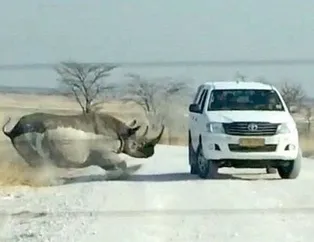 Safaride hayatlarının şokunu yaşadılar! Her şey bir anda oldu