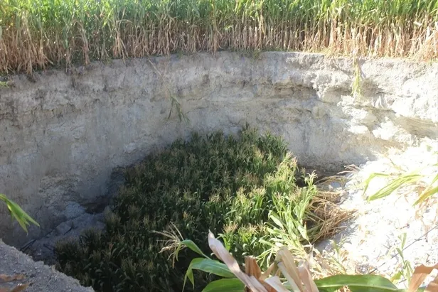 O ilimizde yaşayanları şoke eden olay! Tarlada çalışırken bir anda gördü çok büyük ve korkutucuydu!-3