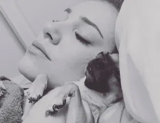 Elçin Sangu'yu hiç böyle görmediniz! Ünlüler ve sevimli dostları