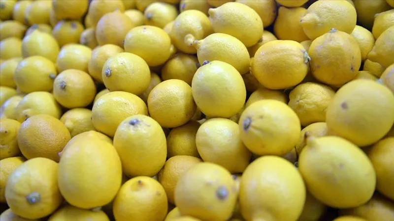 kahveden-daha-az-kalorili-enerji-verici-limonataya-1-kasik-eklemek-yeterli-bobrekleri-resmen-resetleyecek-1721060538565.jpg Limonataya 1 kaşık eklemek yeterli! Kahveden daha az kalorili enerji verici! Böbrekleri resmen resetleyecek-2
