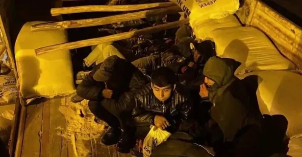 Bakan Yerlikaya duyurdu | 5 ilde "KALKAN-18" operasyonu: 559 düzensiz göçmen yakalandı