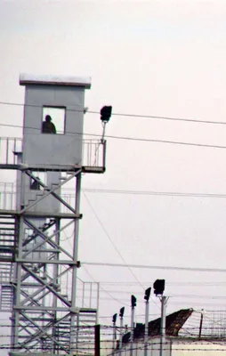 Şarlatan FETO yine Peygamberimiz'i alet etti