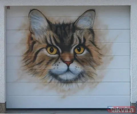 En sıra dışı garaj kapıları - 16