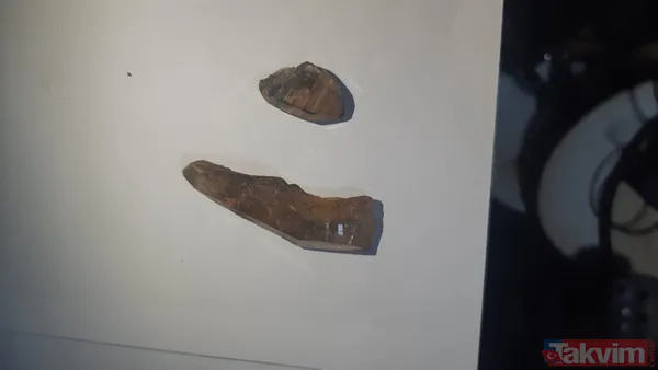 Elmastan daha kıymetli! Piyasa değeri tam 525 milyon dolar! Milas'ta painite taşı ele geçirildi - 8