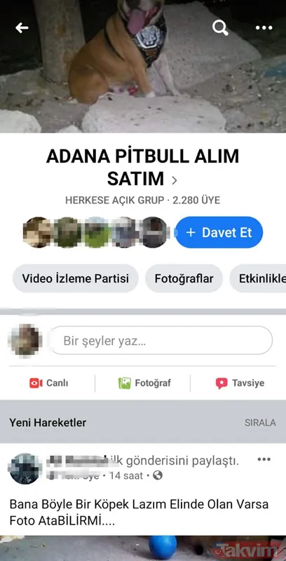 Satışı yasak olan hayvanları internetten satıyorlar - 8