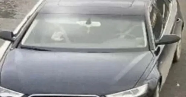 PKK’lı teröristler HDP’li Heval Bozdağ’ın arabasında yakalandı!