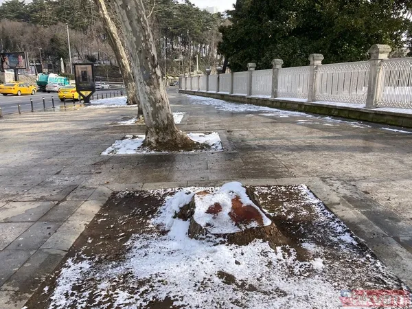 İBB'nin ağaç katliamı karşısında kafasını kuma gömenlere tepki! "Muhalefet keserse ağaçlar hasta, hükümet keserse doğa düşmanı..." - 20
