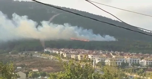 Son dakika: Pendik Kurtköy’de bulunan ormanlık alanda korkutan yangın