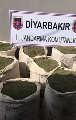 Diyarbakır'da terör operasyonu