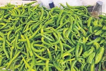 Ekim ayının zam şampiyonu biber