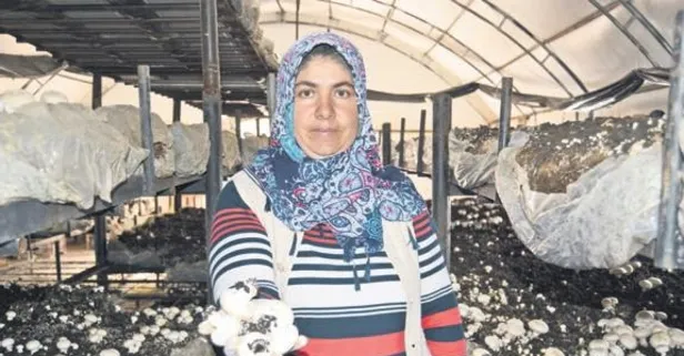 Hibe destekle tesis sahibi oldu