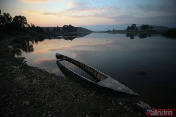 Günlük 900 lira kazanıyorlar! Türkiye'nin birçok ilinden toplanan kurbağalar Avrupa'ya ihraç ediliyor - 26