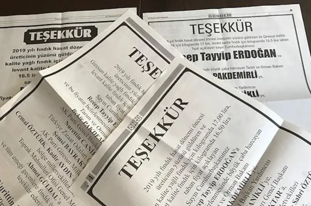 Başkan Erdoğan'a ilanlı teşekkür! Üretici fındık fiyatlarından memnun...