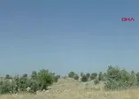 Mardin'de 18 kilogram el yapımı patlayıcı ele geçirildi
