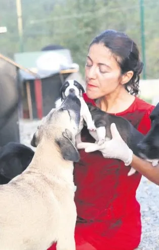 Bir insanlık haberi! Hayvanlar için kredi çekip borca girdi